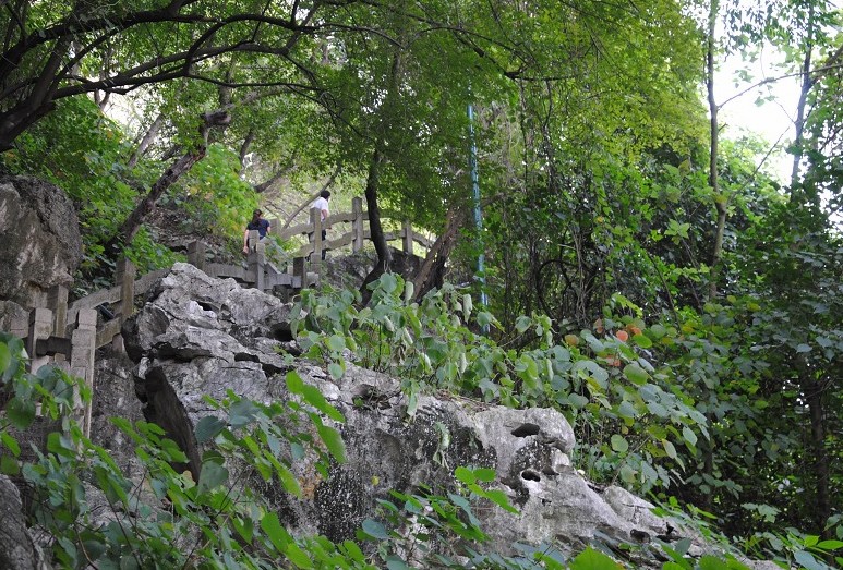 DSC_0691.JPG