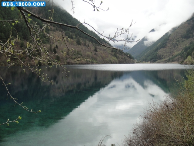 DSC00881.JPG