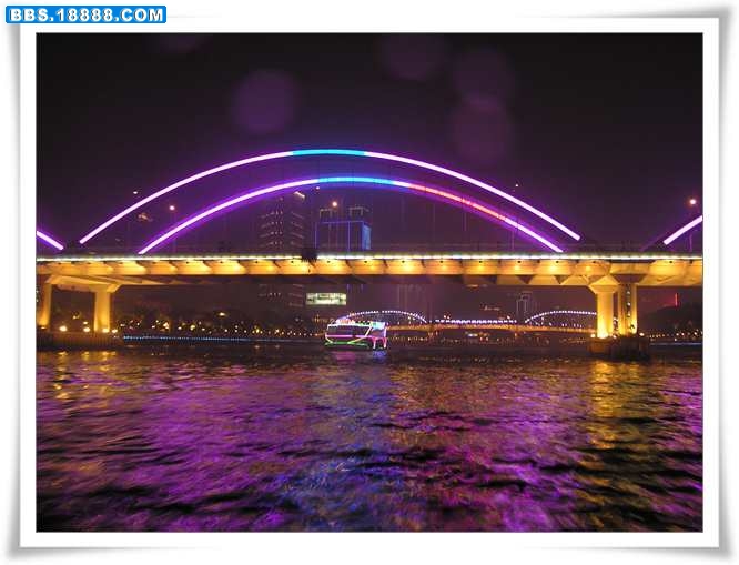 P1010104.jpg