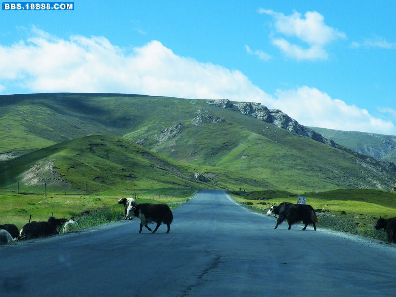 DSCF2176.jpg