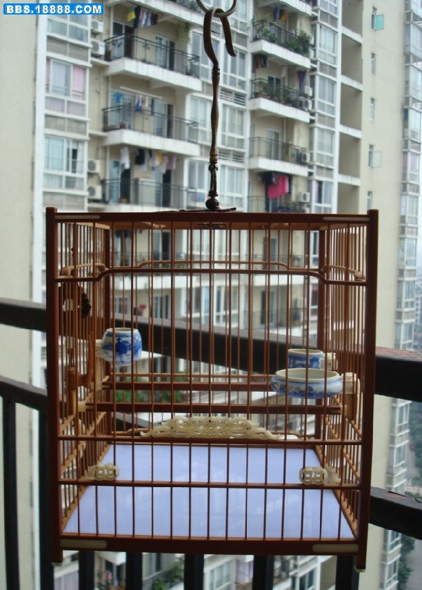 未命名1.jpg