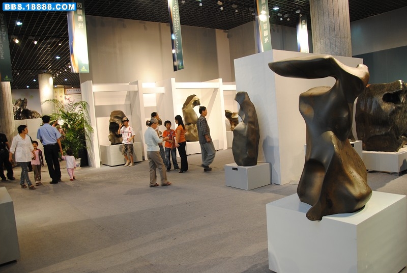DSC_0478.JPG