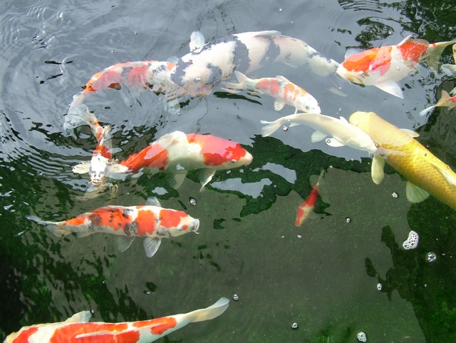 DSCF3944.JPG
