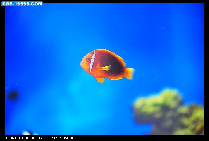 nEO_IMG_DSC_3732.jpg