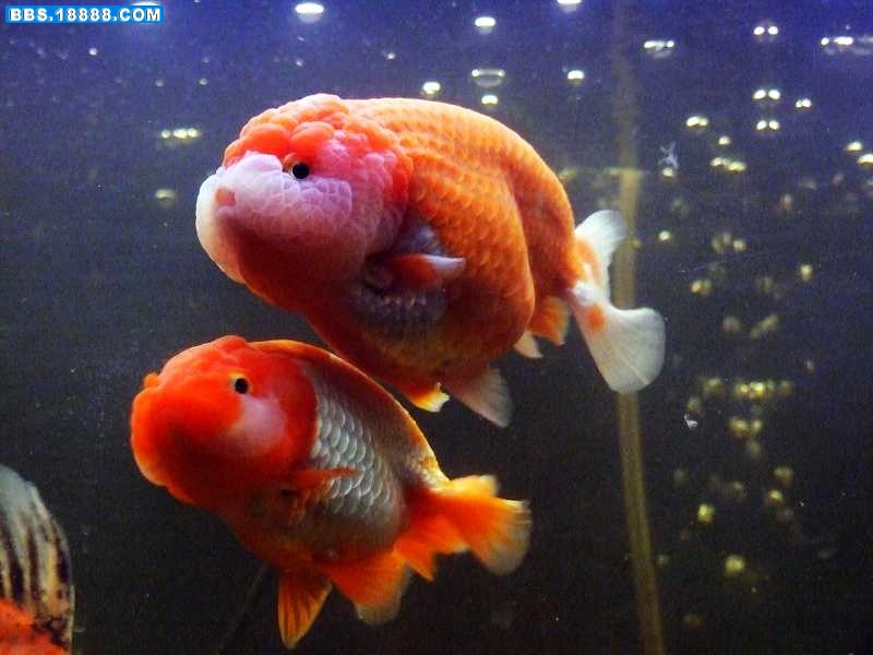 2家人.jpg