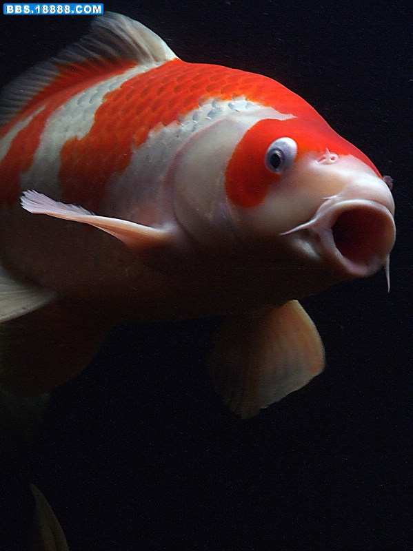 DSCF3819.jpg