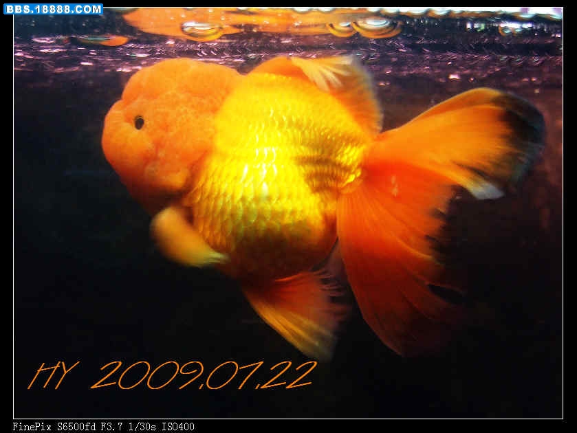DSCF1366.jpg
