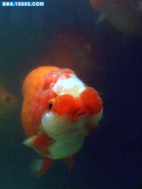 DSCF9523.jpg