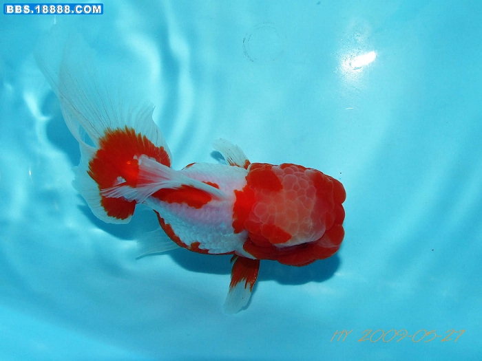 DSCF9383.JPG