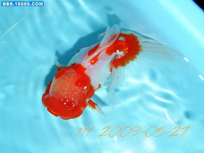 DSCF9393.JPG