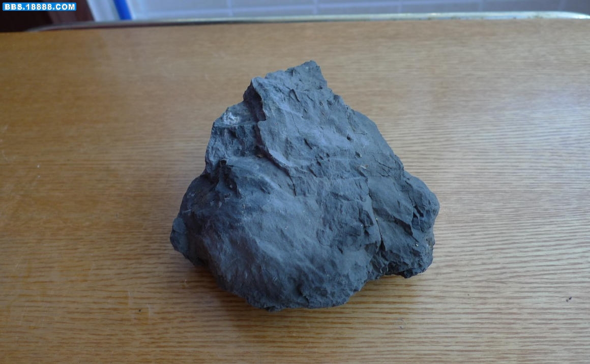 布景选材1.jpg