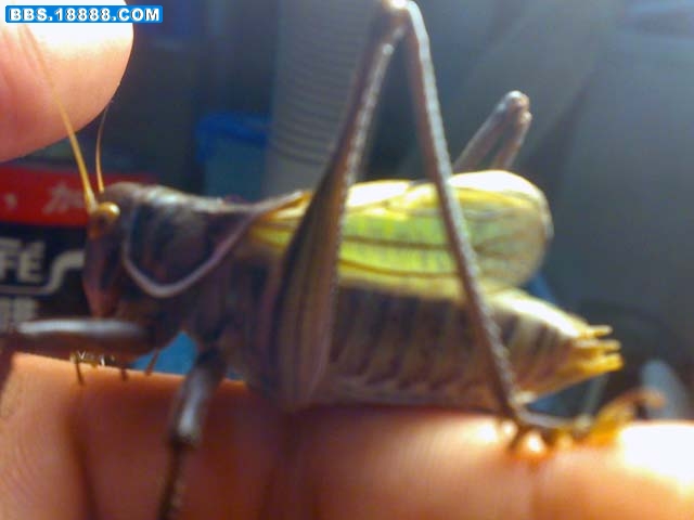 20101007035.jpg