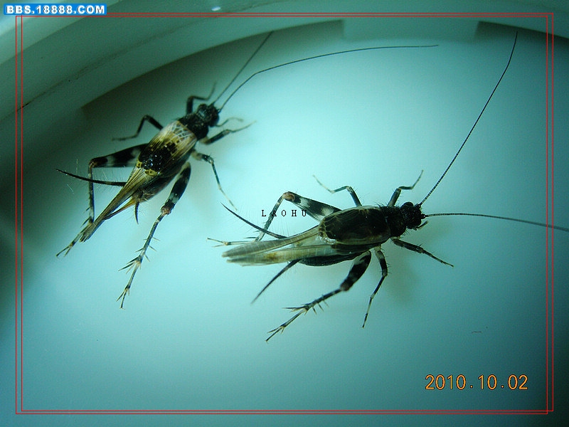 DSCN4875.jpg