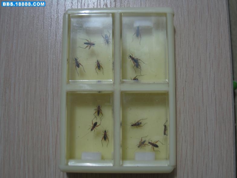照片 005.jpg