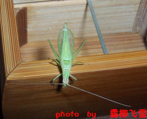 照片 007.jpg
