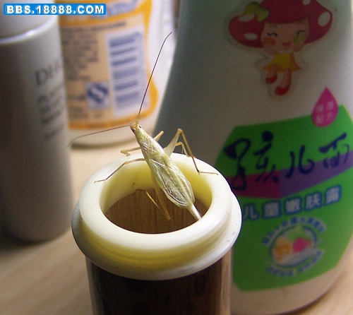 照片 016.jpg