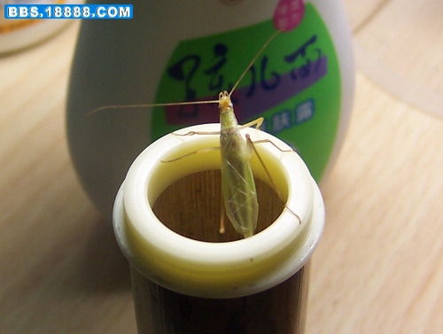 照片 012.jpg