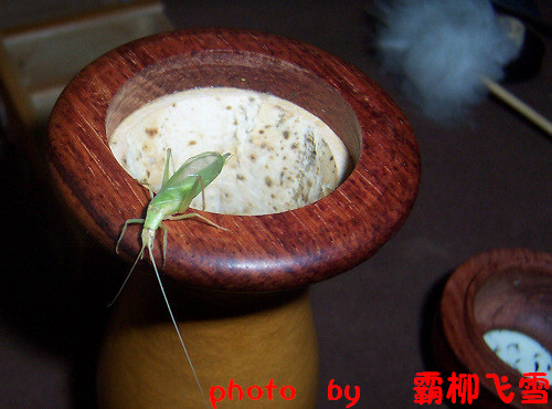 照片 002.jpg