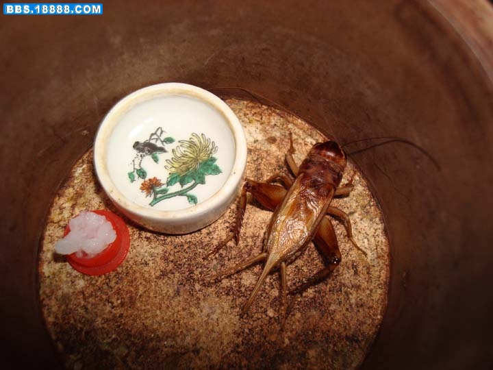 调整向导-2.jpg