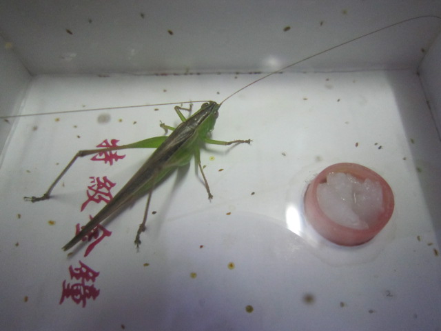照片1 220.jpg