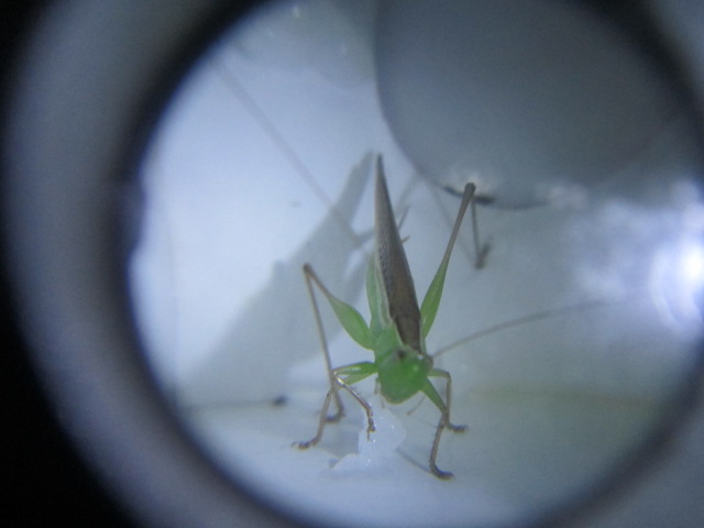 照片1 210.jpg