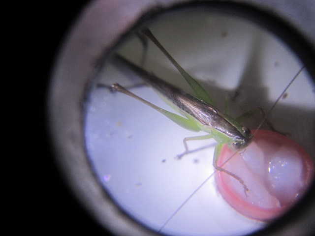照片1 218.jpg