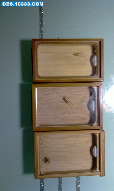 IMAG0017.jpg