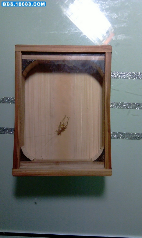 IMAG0019.jpg