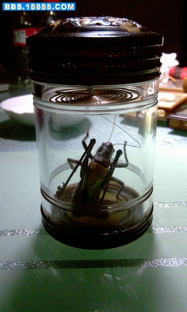 IMAG0023.jpg