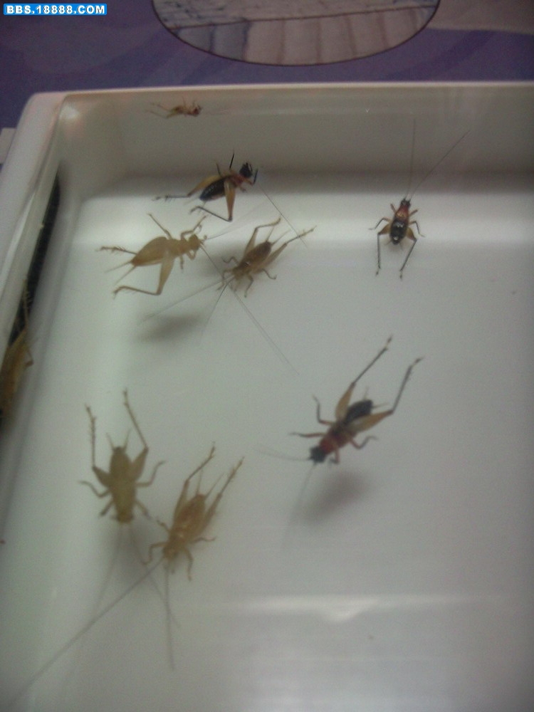照片-0088.jpg