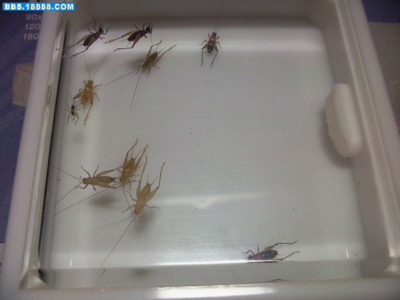 照片-0075.jpg
