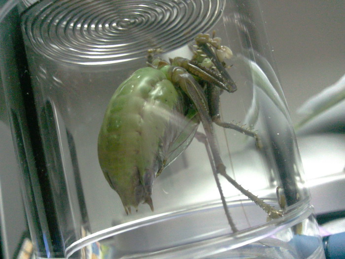 照片0123.jpg