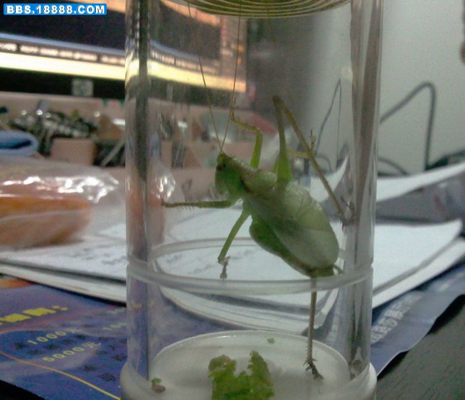 照片0057.jpg