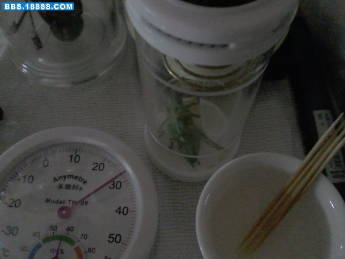 照片0143.jpg