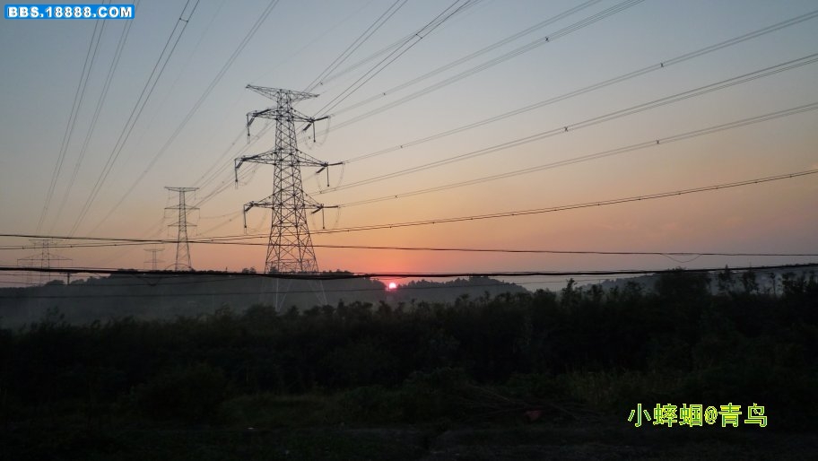 131.JPG