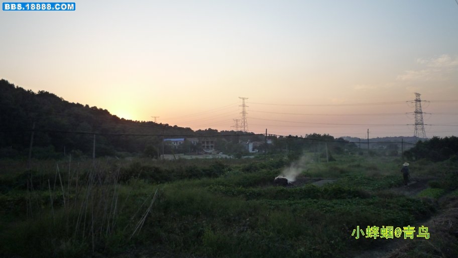 114.JPG