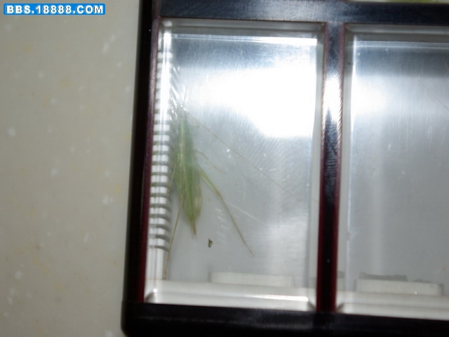 IMGP0360_缩小大小_缩小大小.JPG