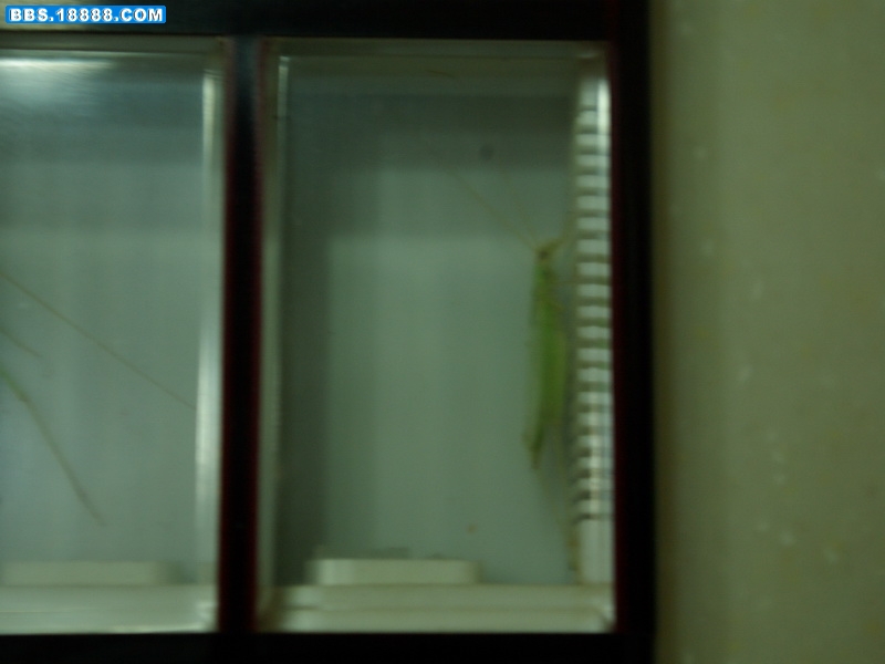 IMGP0362_缩小大小.JPG