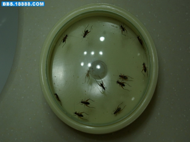 IMGP0366_缩小大小_缩小大小.JPG
