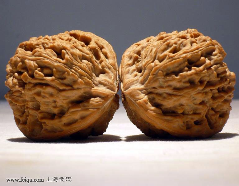 20100929_fc8486c907ce7215a81aIDFs0lWN8D8y.jpg