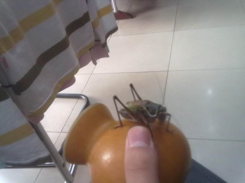 调整大小 20101025136.jpg