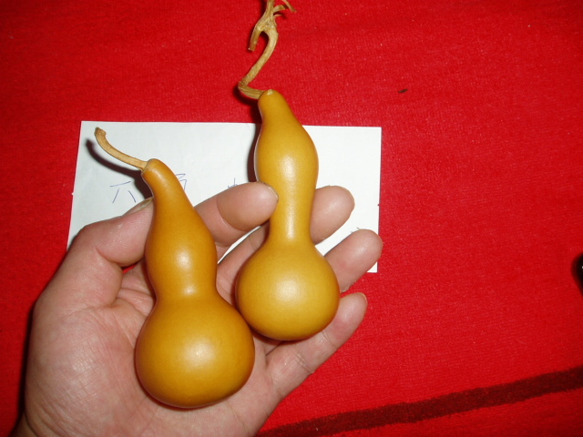 P1010018.JPG