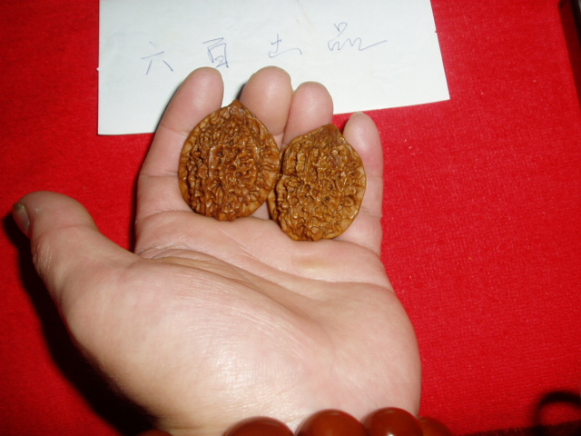 P1010015.JPG