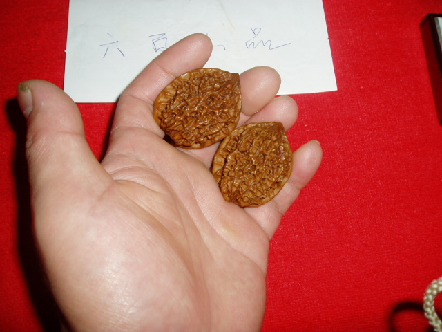 P1010016.JPG