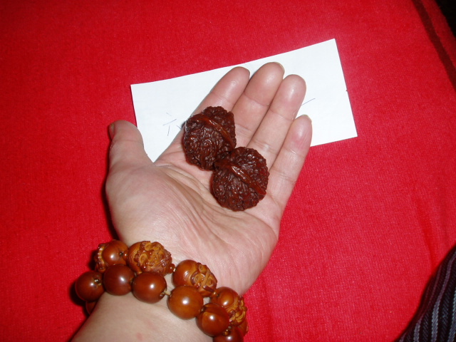 P1010021.JPG
