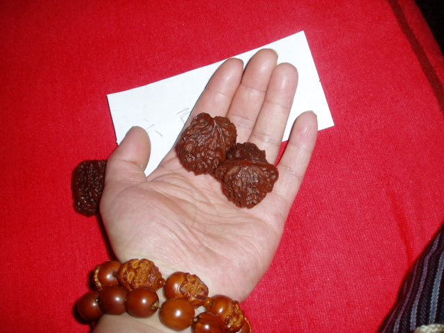 P1010023.JPG