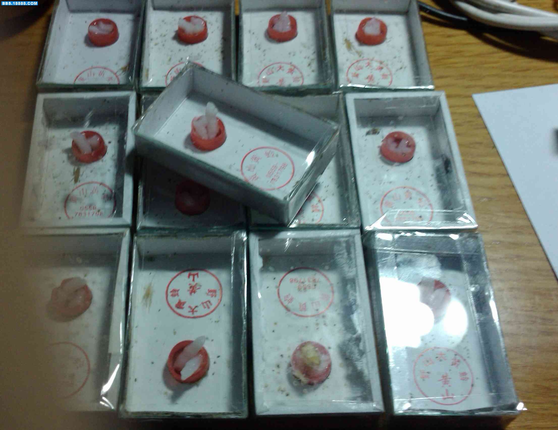 IMAG0123.jpg