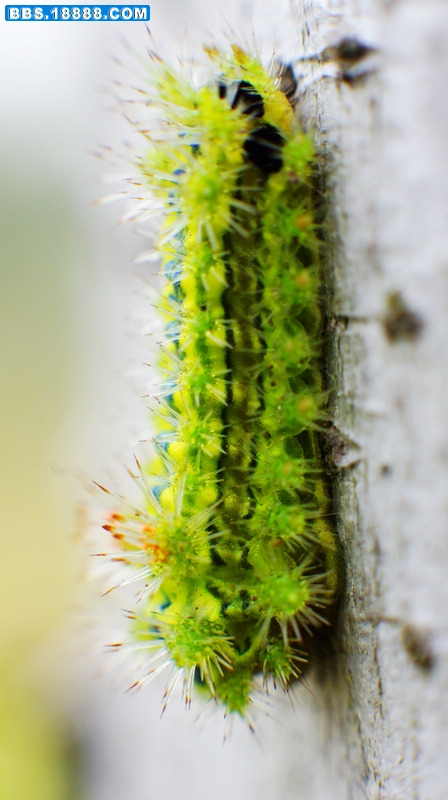 DSC07055.jpg