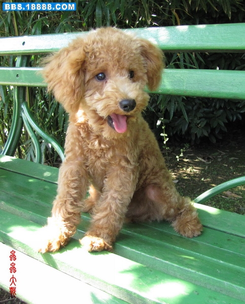 IMG_1192_调整大小.JPG