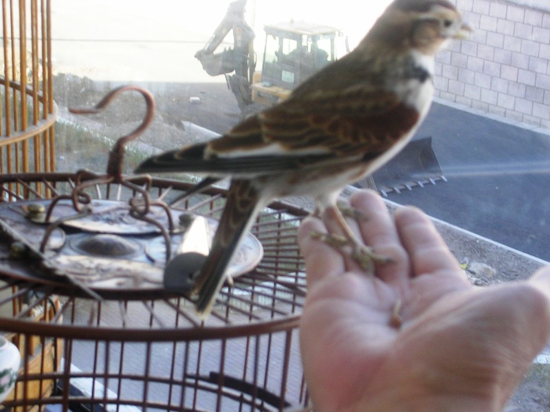 DSCN9153.JPG